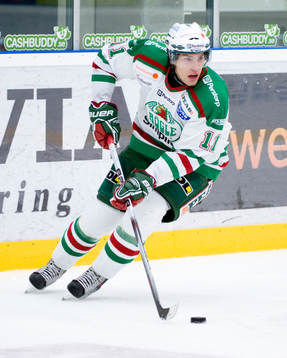 Ishockey, Elitserien, Mattias Sjögren, Rögle