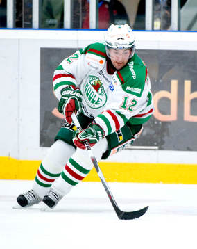 Ishockey, Elitserien, Peter Högardh, Rögle