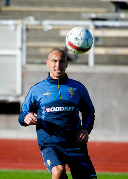 Bläddra bland fler bilder av Fotboll, VM-Kval, Sverige