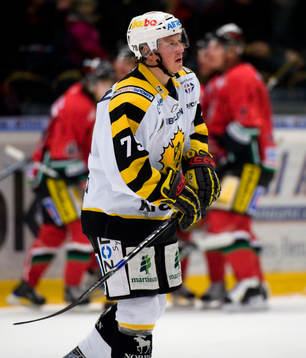 Fredrik Warg, Skellefteå depp