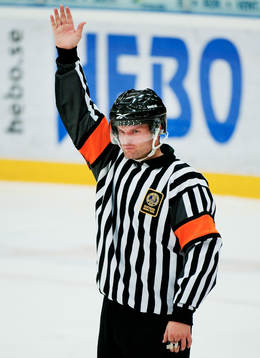 David Bergman, domare