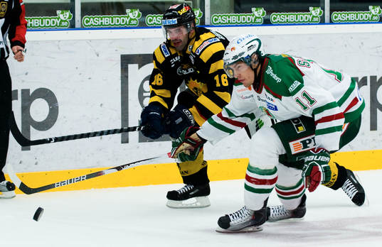 Mattias Sjögren, Rögle mot Ivan Majesky