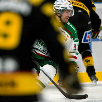 Peter Högardh, Rögle