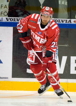 Tomas Skogs