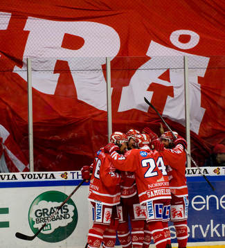 Jubel Timrå