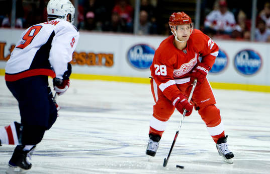 Brian Rafalski, Detroit