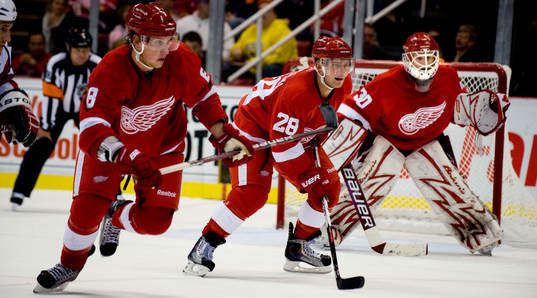 Brian Rafalski, Detroit