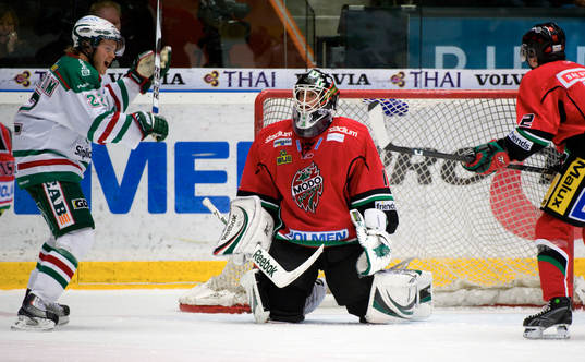 Niklas Svedberg, Målvakt Modo depp