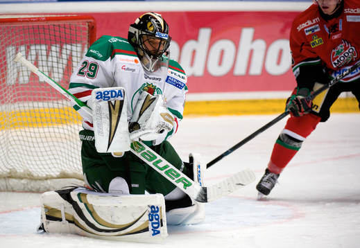Jürgen Penker, Målvakt Rögle