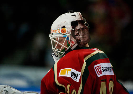 Johan Holmqvist, målvakt