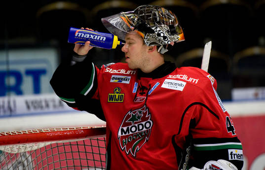 Roman Malek, Målvakt Modo