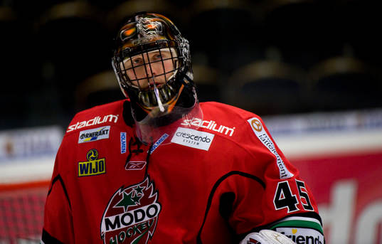 Roman Malek, Målvakt, Modo