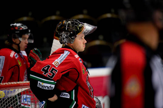 Roman Malek, Målvakt, Modo, depp