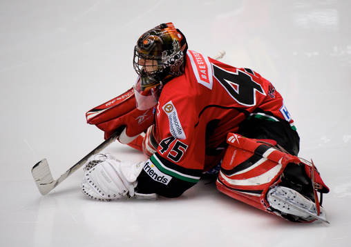 Roman Malek, Målvakt