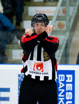 Morgan Johansson, domare, interference