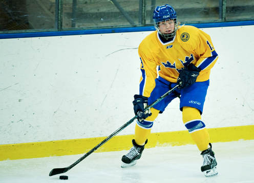 Klara Myrén, Sverige