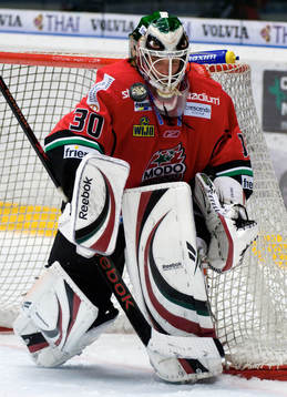 Michal Zajkowski, Målvakt Modo
