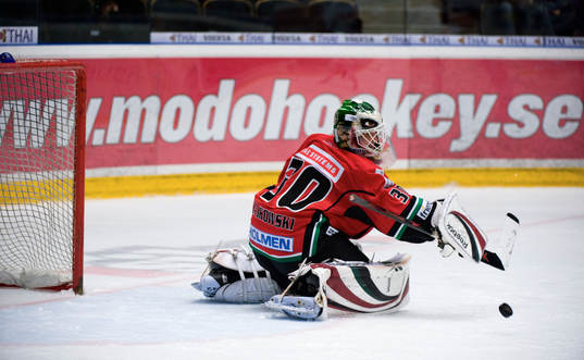Michal Zajkowski, Målvakt Modo