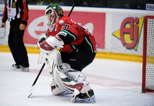 Michal Zajkowski, Målvakt Modo