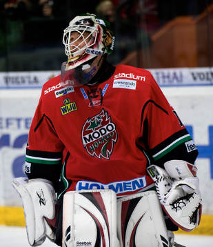 Michal Zajkowski, Målvakt Modo