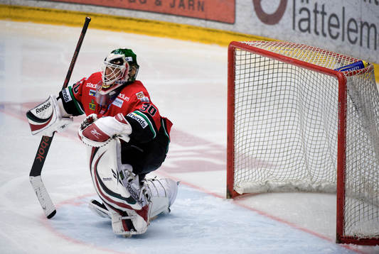 Michal Zajkowski, Målvakt Modo