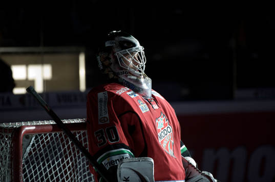 Michal Zajkowski, Målvakt Modo