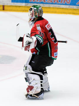 Michal Zajkowski, Målvakt Modo