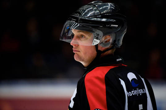 Marcus Vinnerborg, Domare