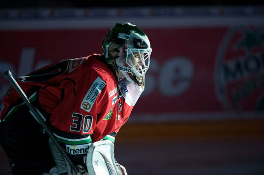 Michal Zajkowski, Målvakt Modo
