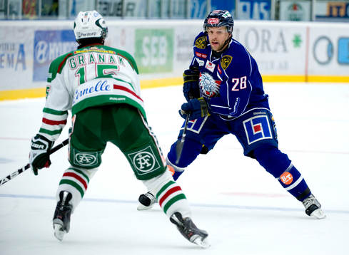 Niclas Hävelid, Linköping