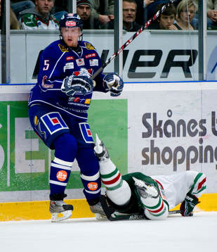 Daniel Fernholm, Linköping