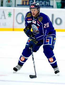Ishockey, Elitserien, Niclas Hävelid, Linköping