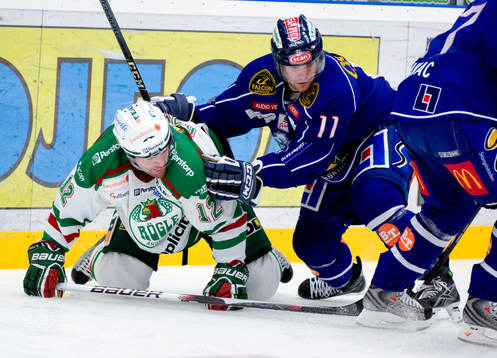Peter Högardh, Rögle och Robin Persson, Linköping