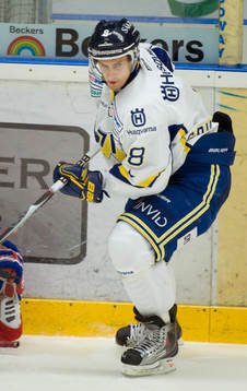 Daniel Grillfors, HV71