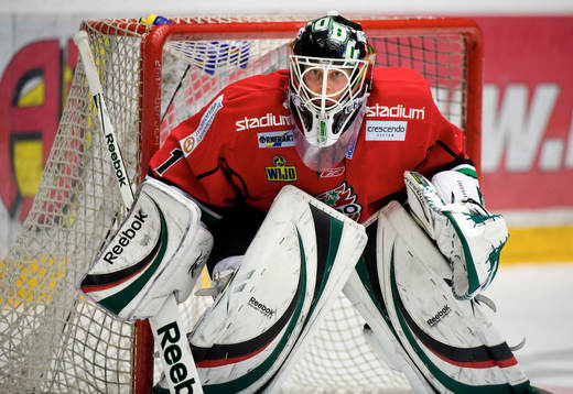 Niklas Svedberg, Målvakt