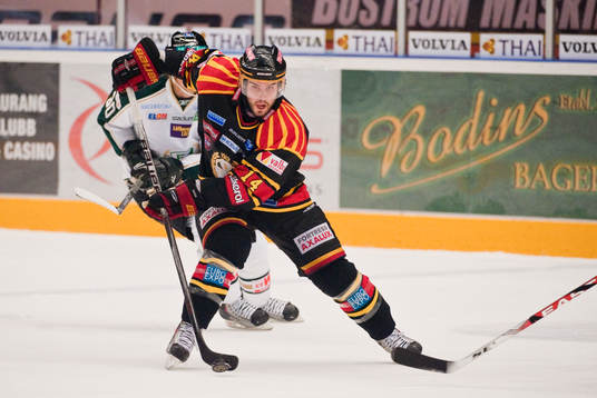 Stephen Dixon, Brynäs
