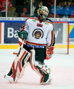 Johan Holmqvist, Målvakt