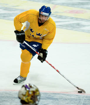 Peter Forsberg, Sverige