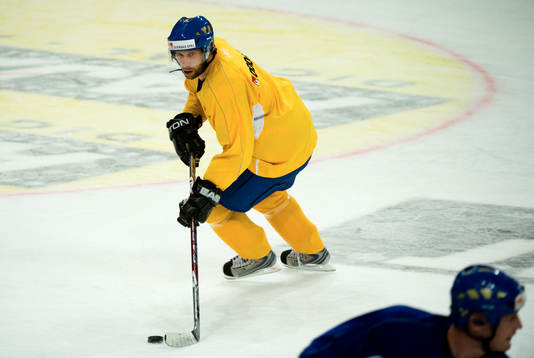 Peter Forsberg, Sverige