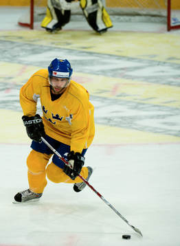 Peter Forsberg, Sverige