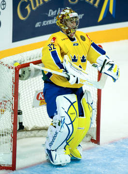 Mikael Tellqvist, Målvakt