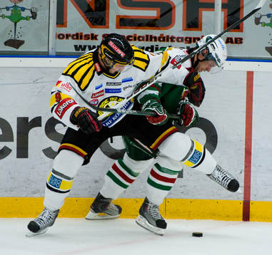Niclas Andersen, Brynäs och Mathias Porseland, Rögle