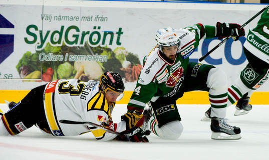 Daniel Rahimi, Rögle och Jakob Silfverberg, Brynäs
