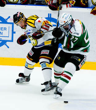 Sebastian Lauritzen, Brynäs och Johan Alcén, Rögle