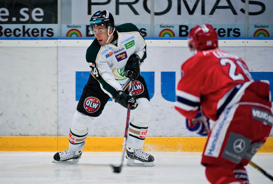 Dragan Umicevic, Färjestad