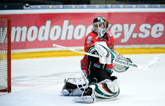 Niklas Svedberg, Målvakt
