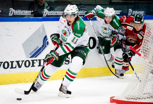Mattias Sjögren, Rögle