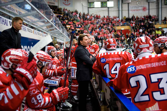 Charles Berglund, Tränare Timrå
