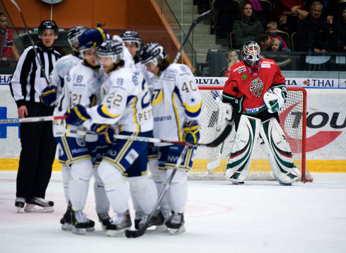 Niklas Svedberg, Målvakt Modo depp