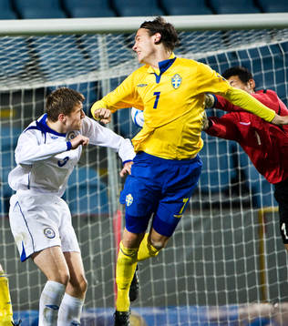 Albin Ekdal, Sverige